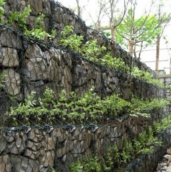 绿化包塑石笼网